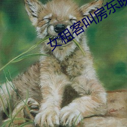 女租客叫房东(dōng)晚上(shàng)修空调(diào)
