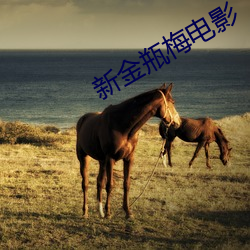 新金瓶梅電影