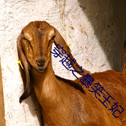 穿(chuān)越之暴笑王(wáng)妃