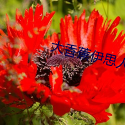 尊龙凯时·(中国)官方网站