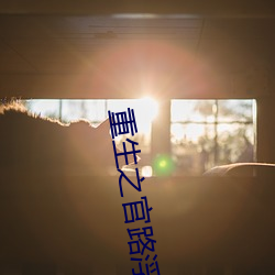 重生之官路浮沉