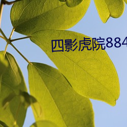 四影虎院8844mc