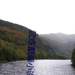 武炼(煉)巅峰(峰)小说
