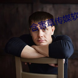 含害草传媒软件(件)免费下载