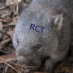 RCT