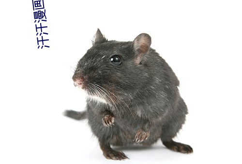 汗汗漫画ss （每每）