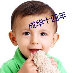 成华十四年