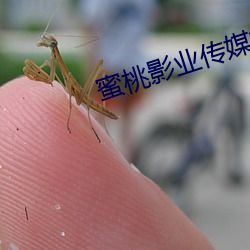 918博天堂·(中国)手机版客户端