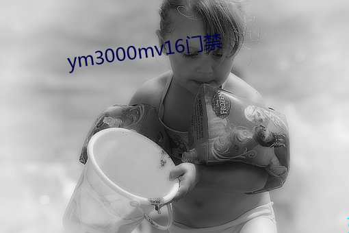 ym3000mv16门禁