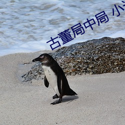 AG真人平台(中国)官方网站