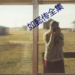 如懿传全集