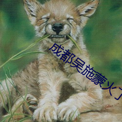 918博天堂·(中国)手机版客户端