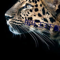 指环王3下载