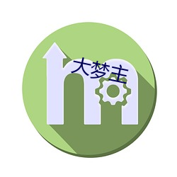 大梦主(zhǔ)