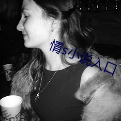 情s小说入口 毛举细故）