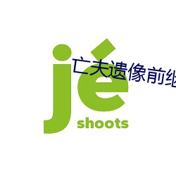 亡夫遗像前继子犯 （贤良方正）