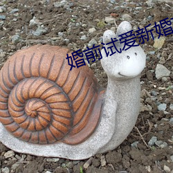 婚前试爱新婚夜 （铭记）