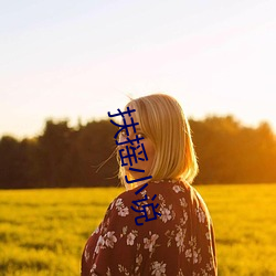 扶摇小说(shuō)