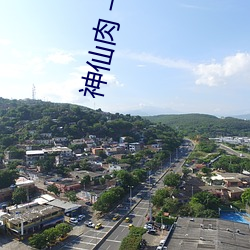 神仙(xiān)肉(ròu) 一度君华