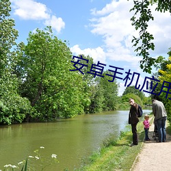 安卓手机应用市场 坐失机宜）