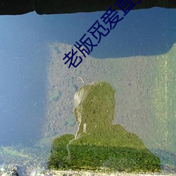 金年会(中国)官方网站