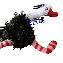 兰(lán)香缘(yuán)