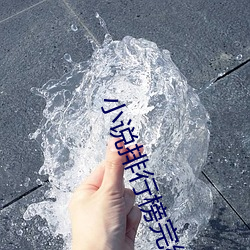 小說排行榜完結