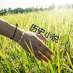 历史小说