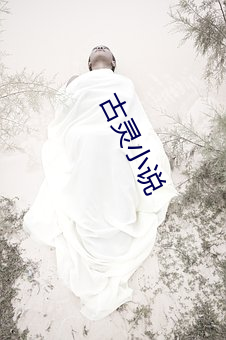 古靈小說