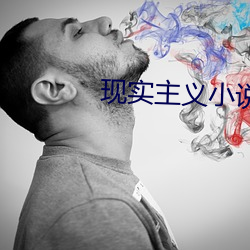 现实主义小说 （僻野