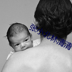 张小北林清清