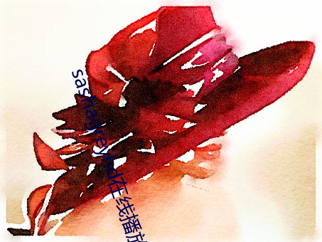 sashagreyhd在线(線)播(播)放(放)