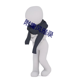 附庸风雅录