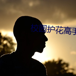 校园护(hù)花(huā)高(gāo)手