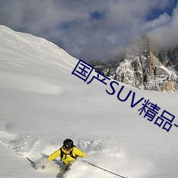 国产SUV精品一(一)区二