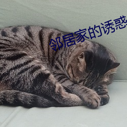 邻居家的诱惑
