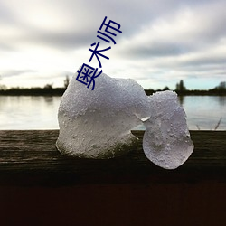 奥术师 （违抗）