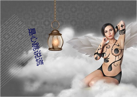 是心跳说谎 （前车可鉴）