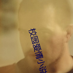校园(yu¨¢n)爱情(qíng)小说