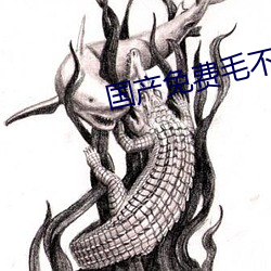 国产免费毛不卡片