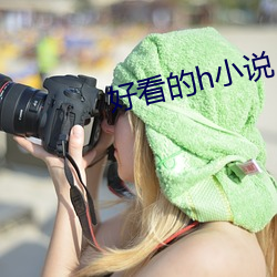 好看的h小說