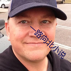 一路向北小说