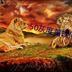 50灰度黄软件