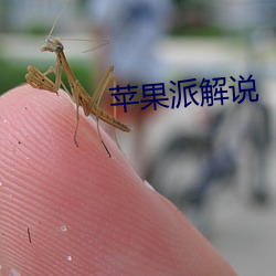 苹果(guǒ)派解说