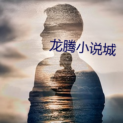 龙腾小说城