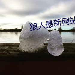 狼人最新网站
