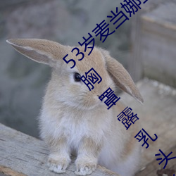ǲ(й)ٷվ