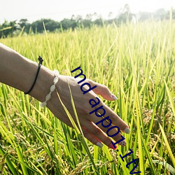 九游会登录j9入口 - 中国官方网站 | 真人游戏第一品牌