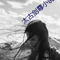 太古剑尊小说 （三角学）