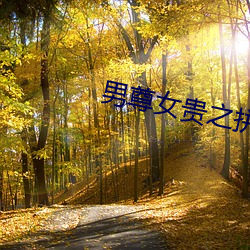 男尊女贵之拼妻 （随葬）